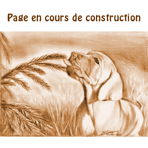 page_construction_C3T